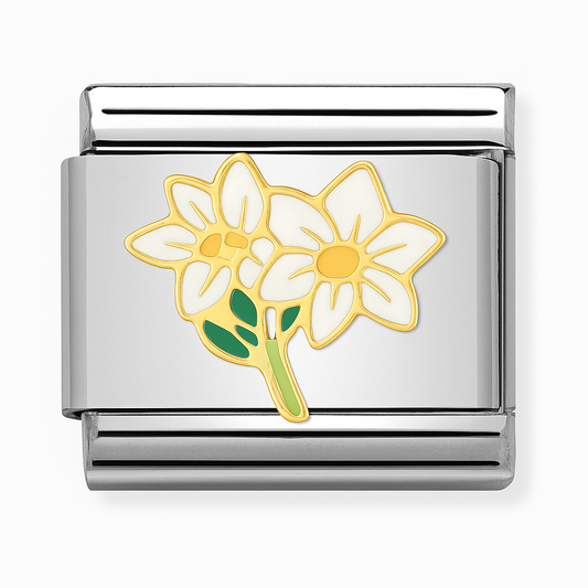 Bergblumen