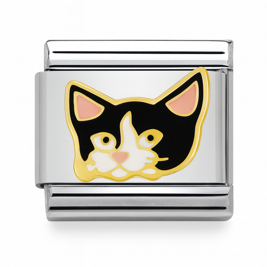 Miezekatze
